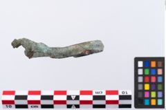 Foto von Bronzearmreif (NHMW-PRAE-001398)